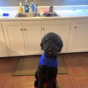 Meet your Posher, Seana